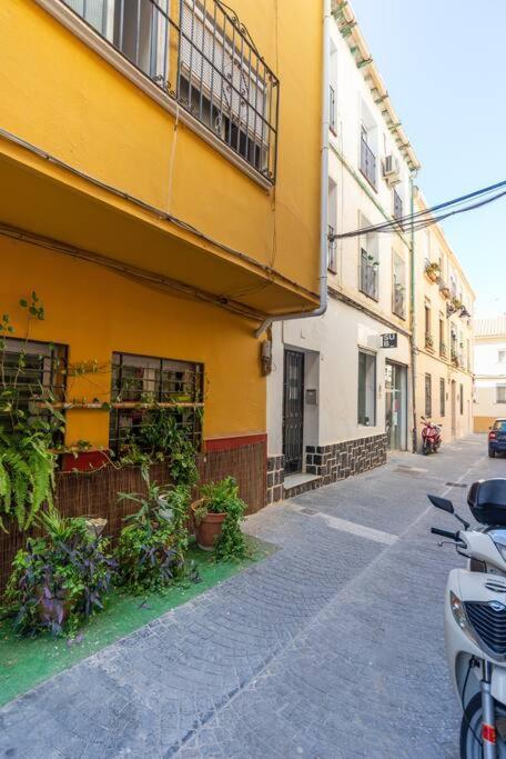 3 Bedroom Flat In Historic Centre مالقة المظهر الخارجي الصورة